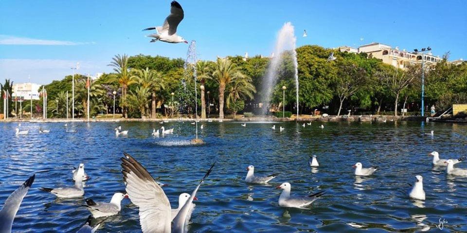 Torrevieja Experience Mar 2 Appartement Buitenkant foto